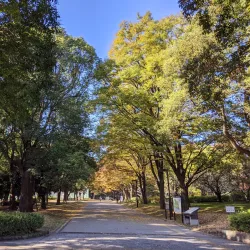 Kinuta Park - Setagaya-ku
