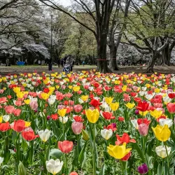 Kinuta Park - Setagaya-ku