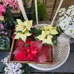 Sangenjaya - Setagaya-ku