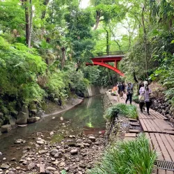 Todoroki Valley - Setagaya-ku