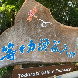 Todoroki Valley - Setagaya-ku