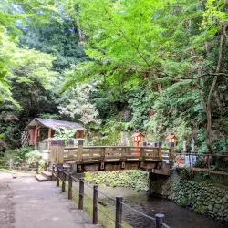 Todoroki Valley - Setagaya-ku