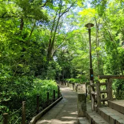 Todoroki Valley - Setagaya-ku