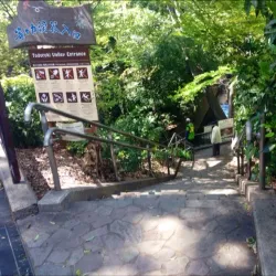 Todoroki Valley - Setagaya-ku