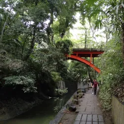 Todoroki Valley - Setagaya-ku