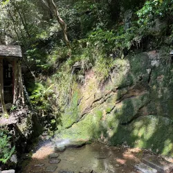 Todoroki Valley - Setagaya-ku