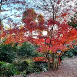 Todoroki Valley - Setagaya-ku