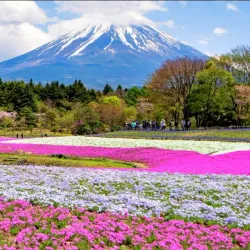 Mount Fuji - Shizuoka