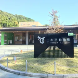 Nihondaira Zoo - Shizuoka