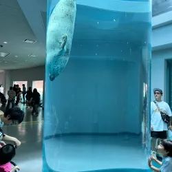 Nihondaira Zoo - Shizuoka