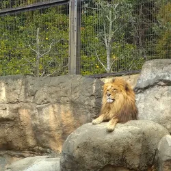 Nihondaira Zoo - Shizuoka