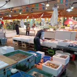 Shimizu Fish Market (Shimizu Port Market) - Shizuoka