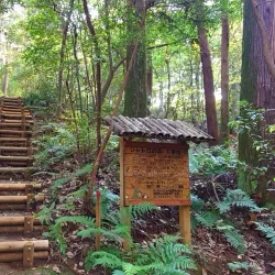 Sayama Hills (Totoro Forest) - Tokorozawa