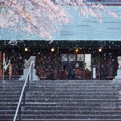 Tokorozawa Shrine - Tokorozawa