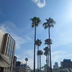 Awa Odori Kaikan - Tokushima