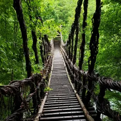 Iya Valley - Tokushima