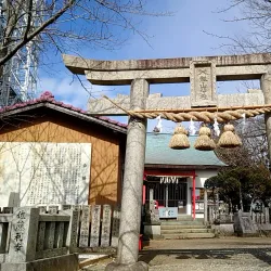 Mount Bizan - Tokushima