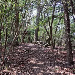 Mount Bizan - Tokushima