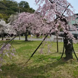 Tokushima Castle Ruins Park - Tokushima