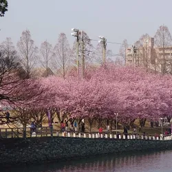Tokushima Castle Ruins Park - Tokushima