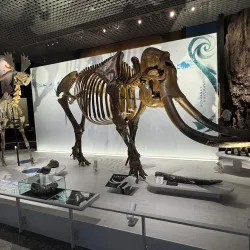 Tokushima Prefectural Museum - Tokushima