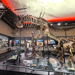 Tokushima Prefectural Museum - Tokushima