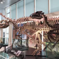 Tokushima Prefectural Museum - Tokushima