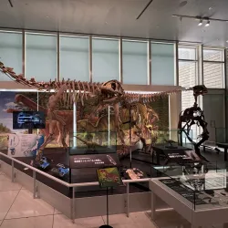 Tokushima Prefectural Museum - Tokushima