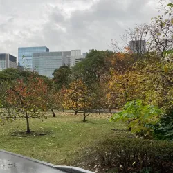 Imperial Palace and East Gardens - Tokyo