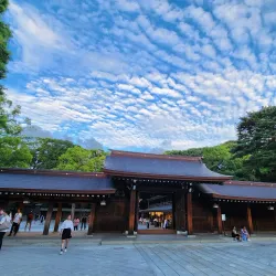 Meiji Shrine - Tokyo