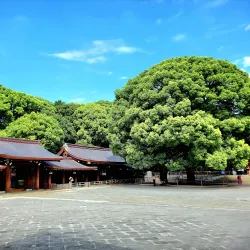Meiji Shrine - Tokyo