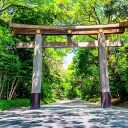 Meiji Shrine - Tokyo