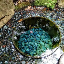 Meiji Shrine - Tokyo