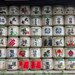 Meiji Shrine - Tokyo