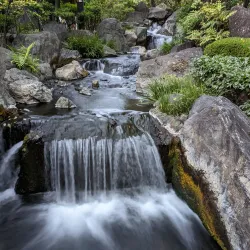 Senso-ji Temple - Tokyo
