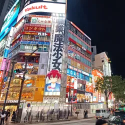 Shibuya Crossing - Tokyo