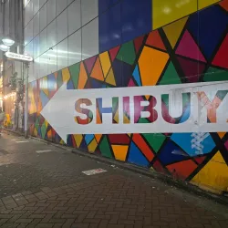 Shibuya Crossing - Tokyo