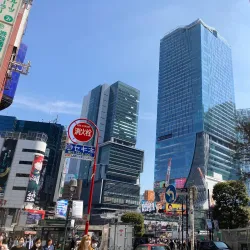 Shibuya Crossing - Tokyo
