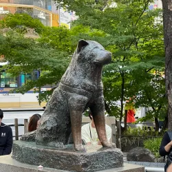 Shibuya Crossing - Tokyo