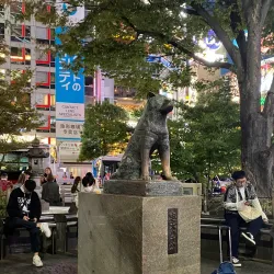 Shibuya Crossing - Tokyo