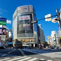 Shibuya Crossing - Tokyo