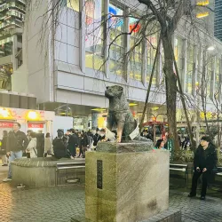 Shibuya Crossing - Tokyo