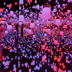 teamLab Borderless - Tokyo