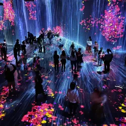 teamLab Borderless - Tokyo