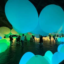 teamLab Borderless - Tokyo