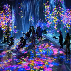 teamLab Borderless - Tokyo
