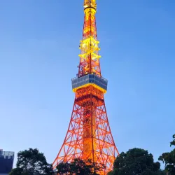 Tokyo Tower - Tokyo