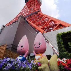 Tokyo Tower - Tokyo