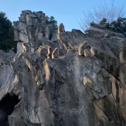 Ueno Park and Zoo - Tokyo