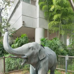 Ueno Park and Zoo - Tokyo